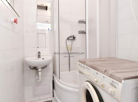 Pronájem bytu, 1+kk, 28 m²