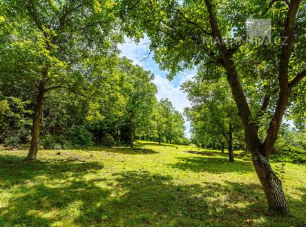 Prodej pozemku pro bydlení, 3 034 m²