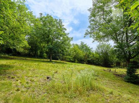 Prodej pozemku pro bydlení, 3 034 m²