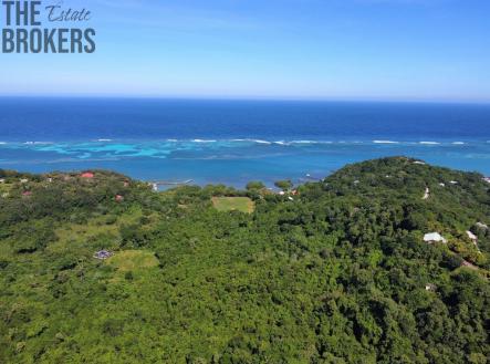 Villa Aroha, Punta Blanca
