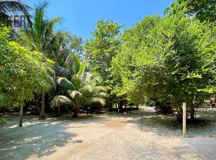 Prodej domu/vily, 1 022 m²