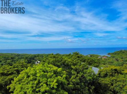 Diamond Ocean View Home