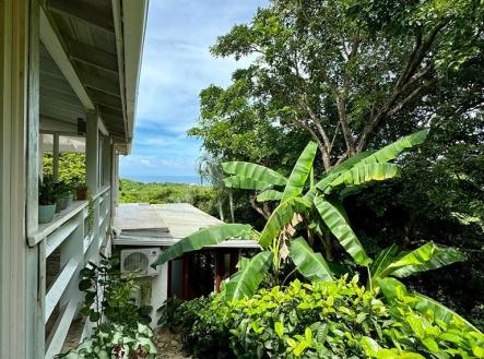 Diamond Ocean View Home
