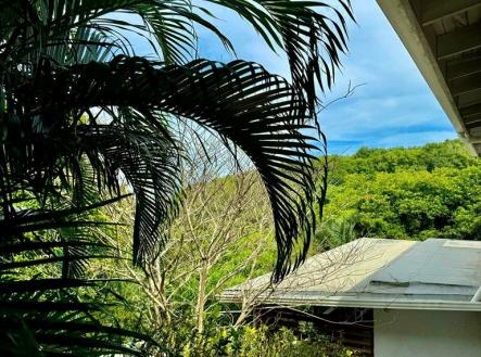 Diamond Ocean View Home
