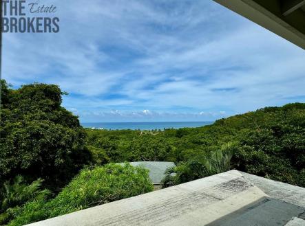 Diamond Ocean View Home