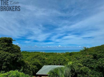 Diamond Ocean View Home