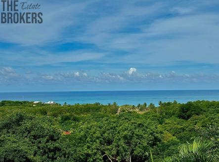 Diamond Ocean View Home