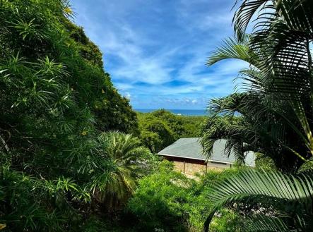 Diamond Ocean View Home
