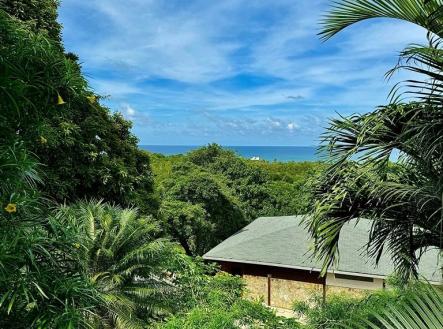 Diamond Ocean View Home