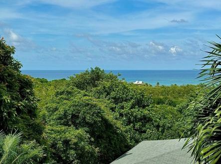 Diamond Ocean View Home