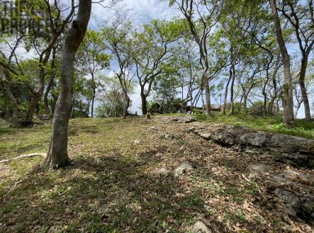 Bodden Bight Estate Jonesville