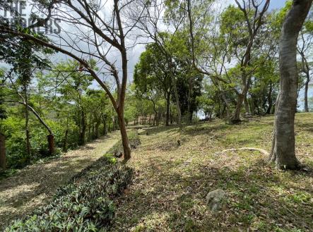 Bodden Bight Estate Jonesville