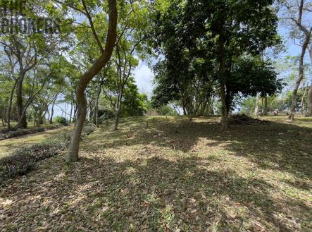 Bodden Bight Estate Jonesville