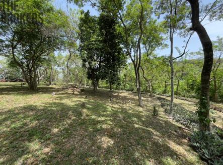 Bodden Bight Estate Jonesville