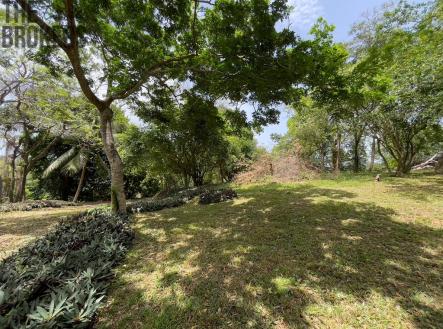 Bodden Bight Estate Jonesville