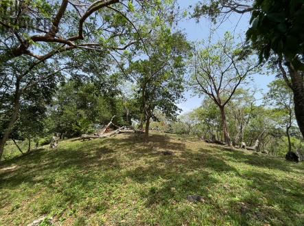 Bodden Bight Estate Jonesville