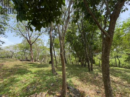Bodden Bight Estate Jonesville