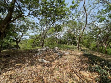 LOT 5 Bodden Bight Estate, Roatan