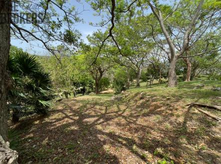LOT 5 Bodden Bight Estate, Roatan