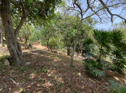 LOT 5 Bodden Bight Estate, Roatan