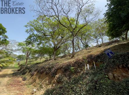 LOT 6 Bodden Bight Estate, Roatan