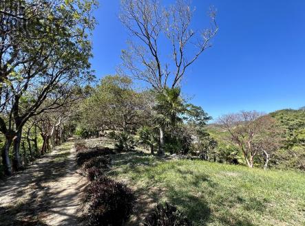LOT 6 Bodden Bight Estate, Roatan