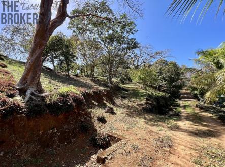 LOT 6 Bodden Bight Estate, Roatan