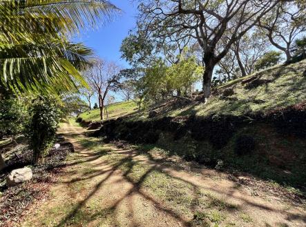LOT 6 Bodden Bight Estate, Roatan