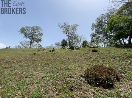 LOT 6 Bodden Bight Estate, Roatan