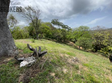 LOT 6 Bodden Bight Estate, Roatan