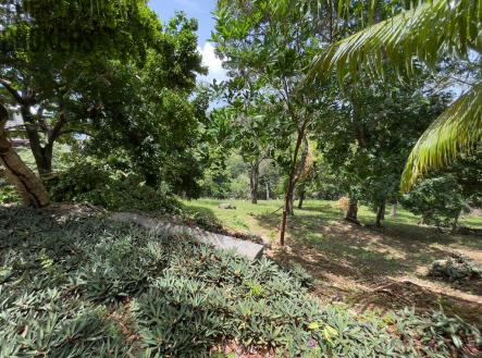 LOT 10 Bodden Bight Estate, Roatan
