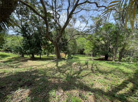 LOT 10 Bodden Bight Estate, Roatan