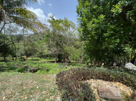 LOT 9 Bodden Bight Estate, Roatan