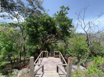 LOT 9 Bodden Bight Estate, Roatan