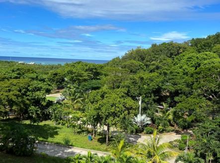 Diamond Hill Resort Lot#8D Diamond rock, Roatan