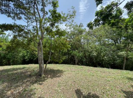 Lot 1 Bodden Bight Estate, Roatan