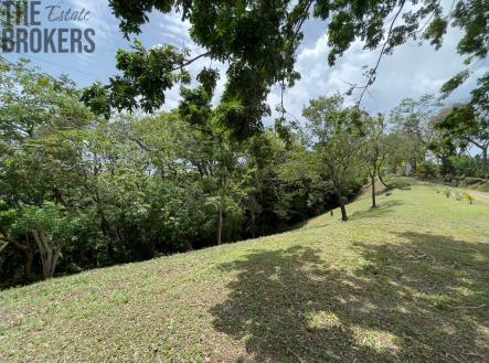 Lot 1 Bodden Bight Estate, Roatan