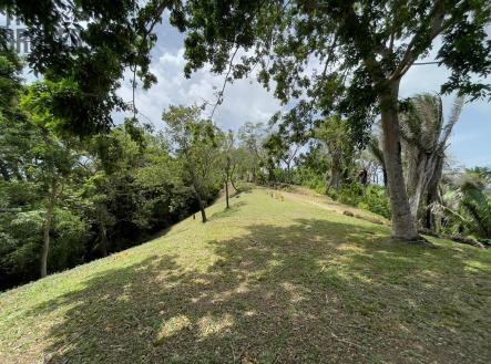 Lot 1 Bodden Bight Estate, Roatan