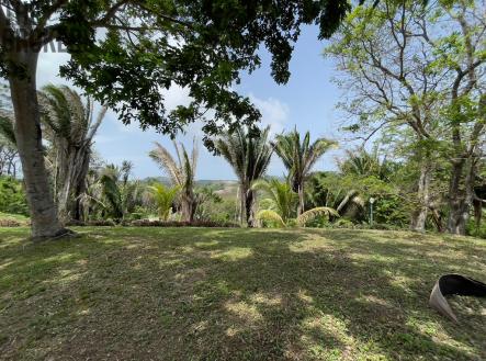 Lot 1 Bodden Bight Estate, Roatan