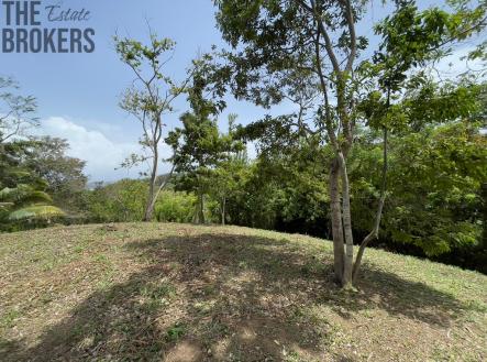 Lot 1 Bodden Bight Estate, Roatan