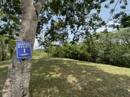 Lot 1 Bodden Bight Estate, Roatan