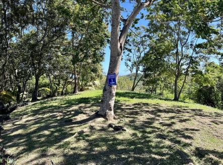 Lot 1 Bodden Bight Estate, Roatan