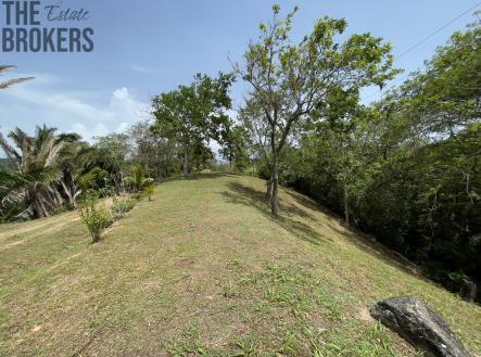 Lot 1 Bodden Bight Estate, Roatan