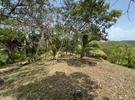Lot 1 Bodden Bight Estate, Roatan