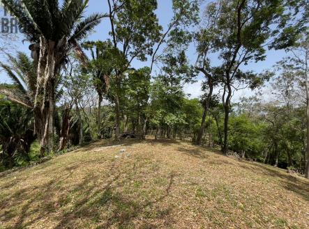Lot 1 Bodden Bight Estate, Roatan