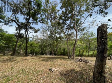 Lot 1 Bodden Bight Estate, Roatan