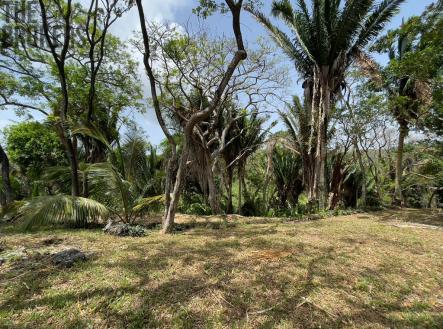 Lot 1 Bodden Bight Estate, Roatan