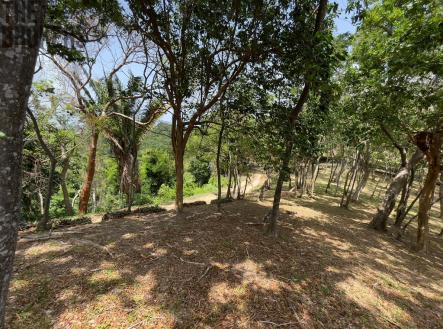 Lot 1 Bodden Bight Estate, Roatan