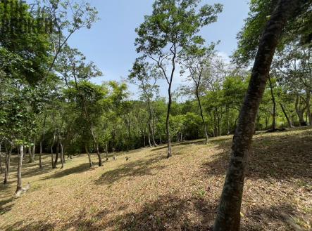 Lot 1 Bodden Bight Estate, Roatan