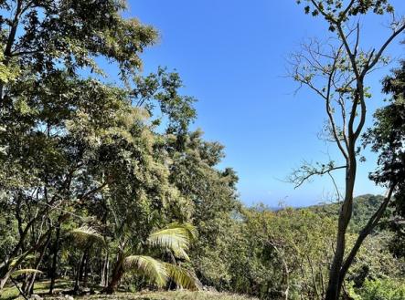 Lot 1 Bodden Bight Estate, Roatan